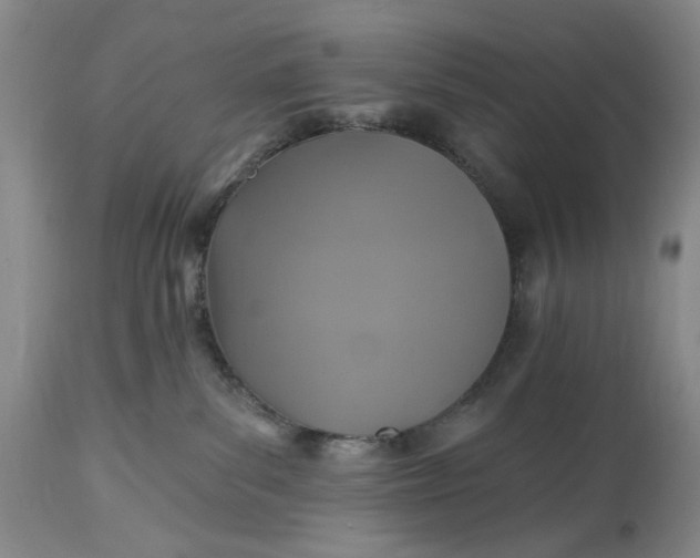 X0000115330139200911161818