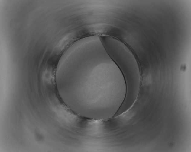 X0000115330140200911161818