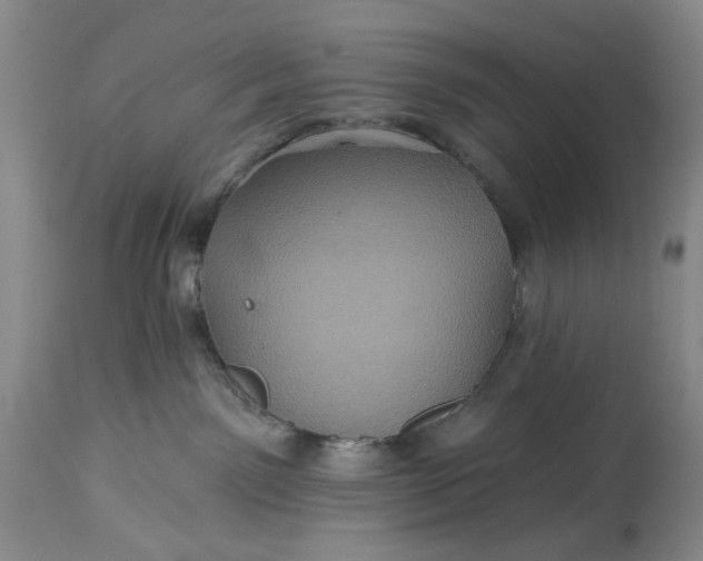 X0000115330141200911161818