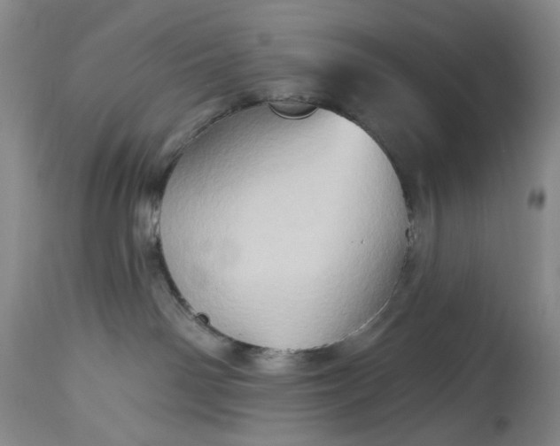 X0000115330142200911161818