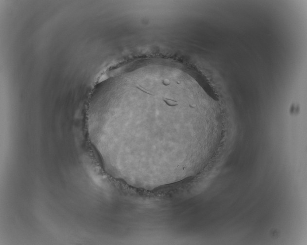 X0000115330144200911161817