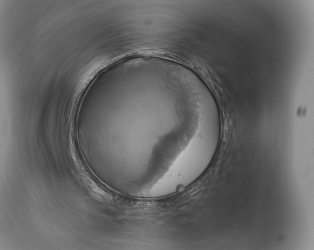 X0000115330145200911161817