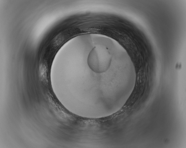 X0000115330146200911161817