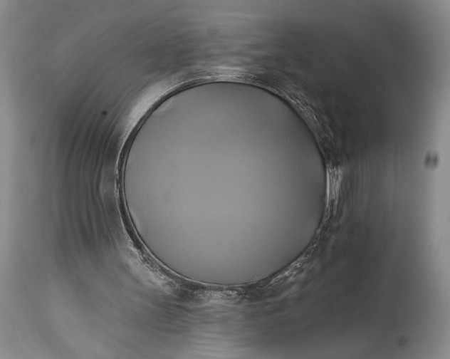 X0000115330147200911161817