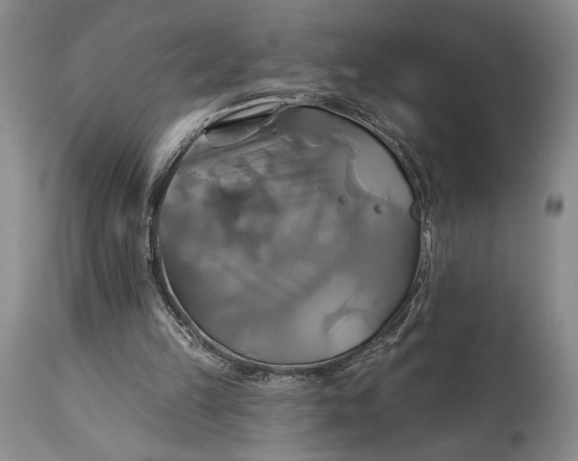 X0000115330149200911161817