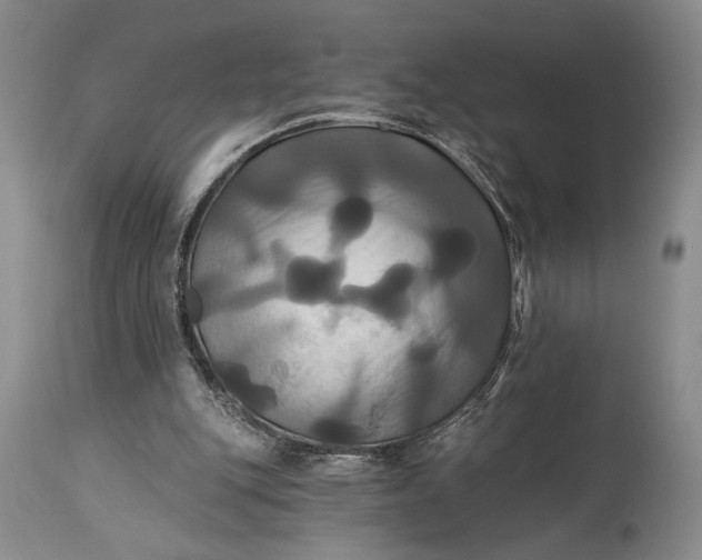 X0000115330151200911161817