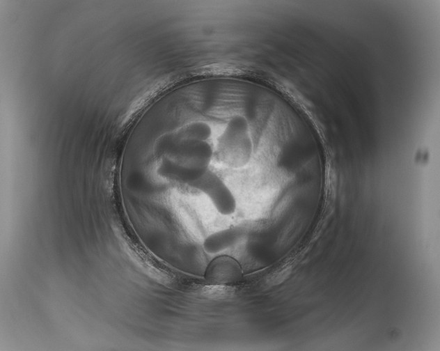 X0000115330153200911161817