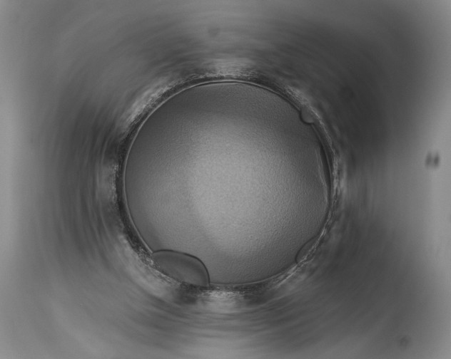 X0000115330154200911161817