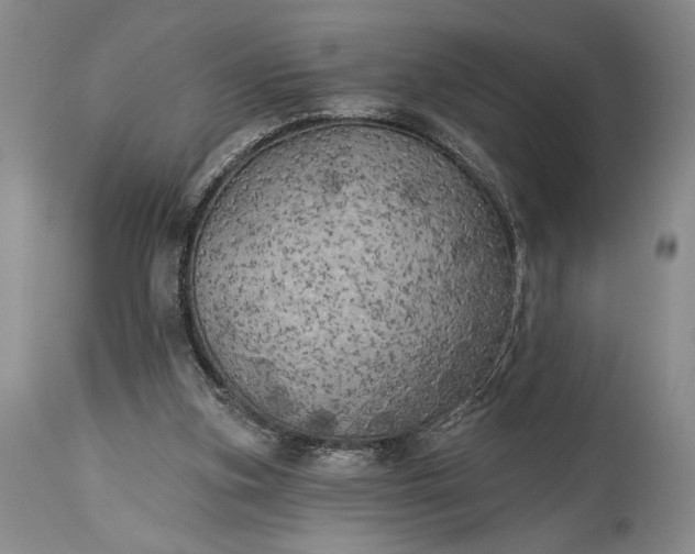 X0000115330155200911161817