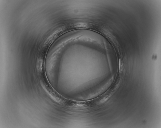 X0000115330157200911161817