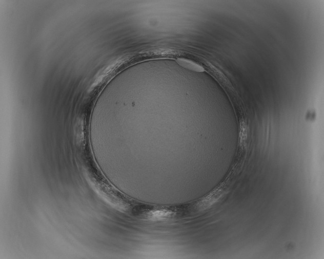 X0000115330158200911161817