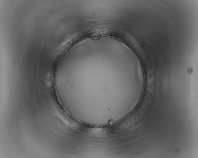 X0000115330161200911161817