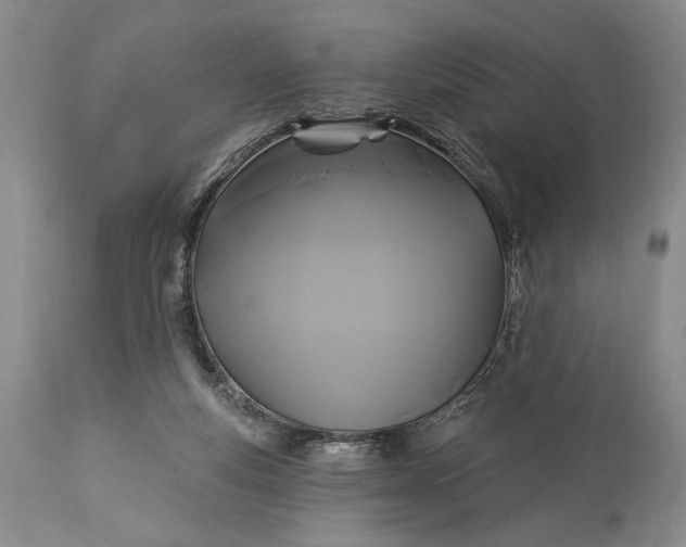 X0000115330163200911161817