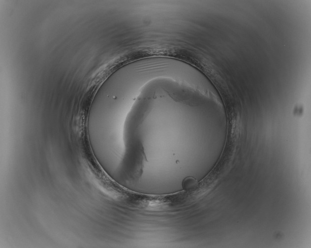 X0000115330165200911161817