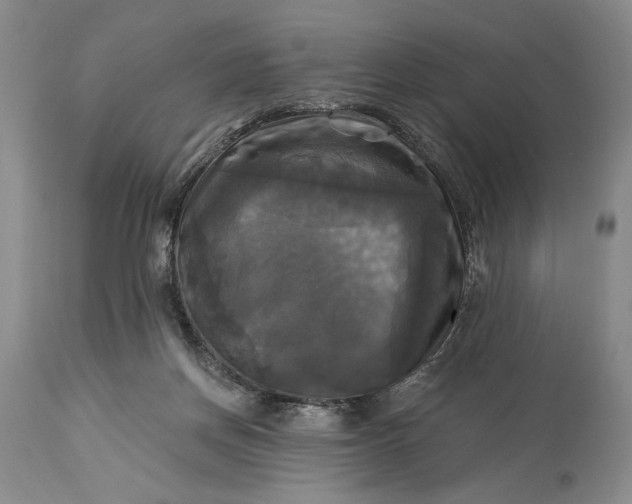 X0000115330166200911161817