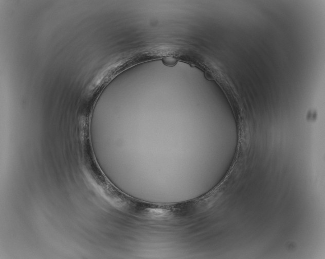 X0000115330167200911161817