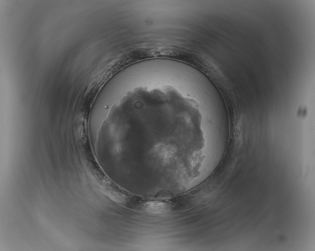 X0000115330169200911161817