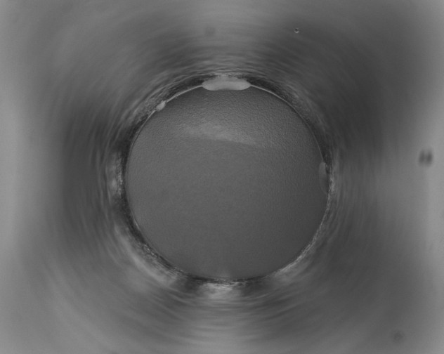 X0000115330170200911161817