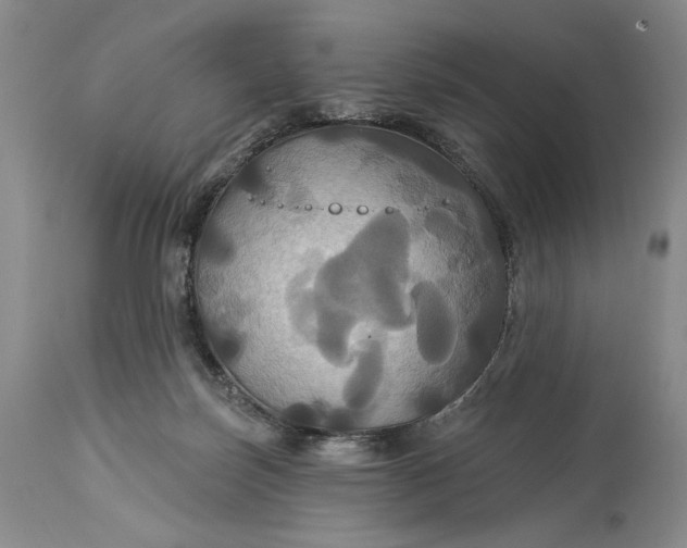 X0000115330171200911161817