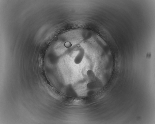 X0000115330173200911161817