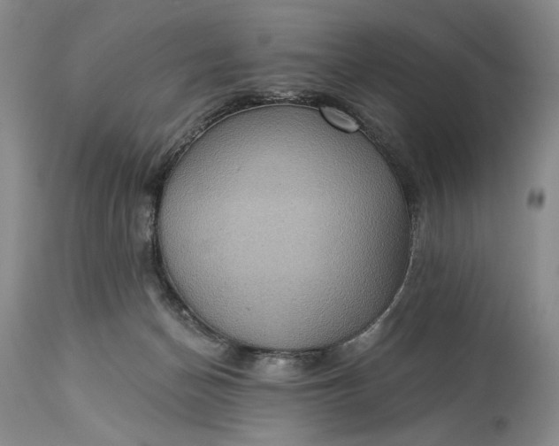 X0000115330174200911161817