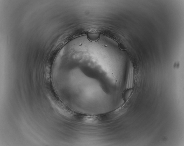 X0000115330175200911161817