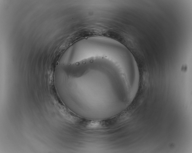 X0000115330177200911161817