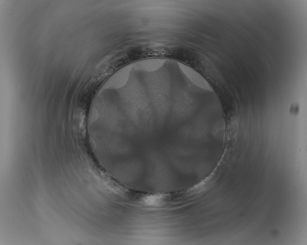 X0000115330178200911161817