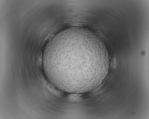 X0000115330179200911161817