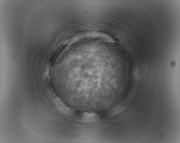 X0000115330185200911161817