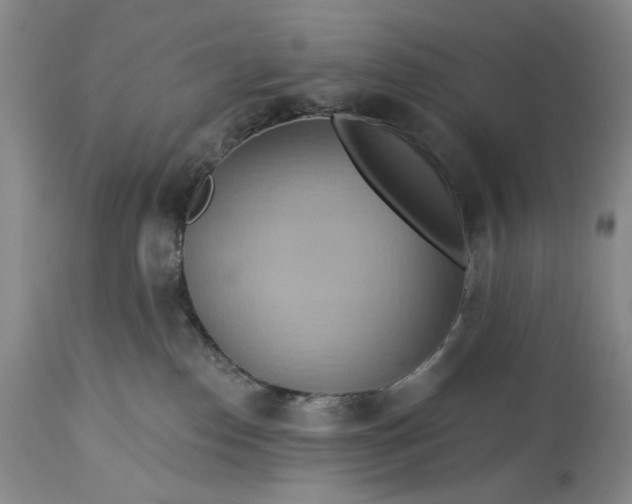 X0000115330186200911161817