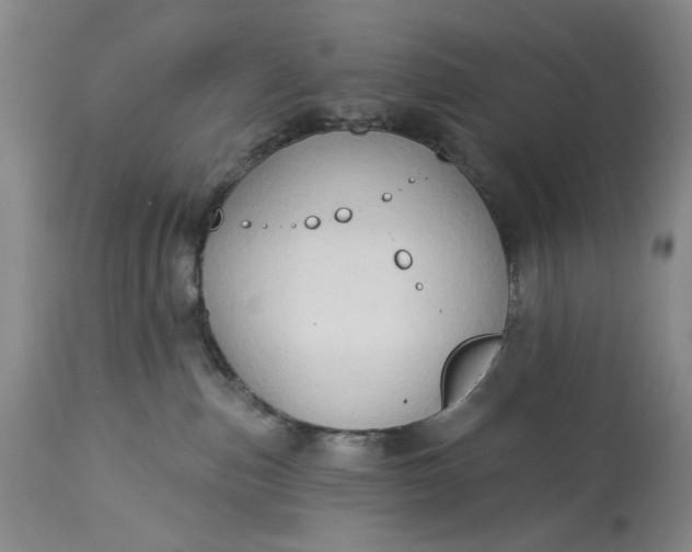 X0000115330187200911161817