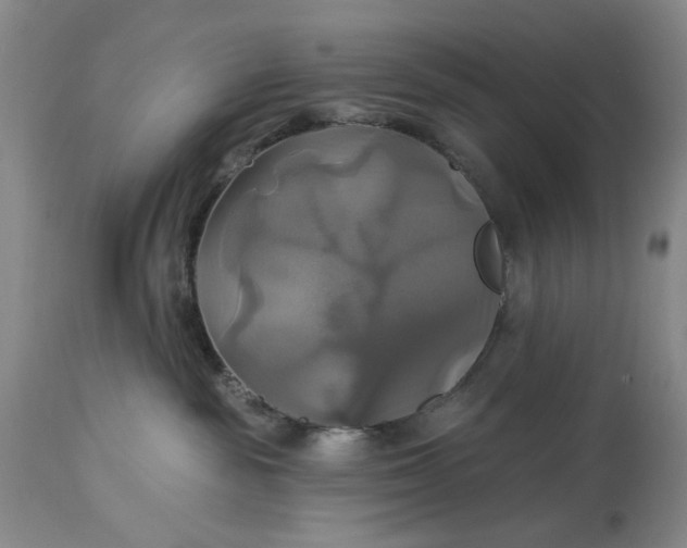 X0000115330189200911161817