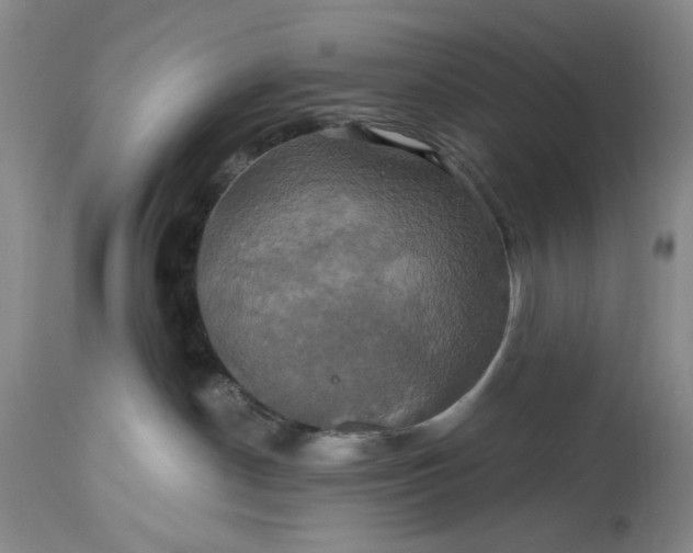 X0000115330190200911161817