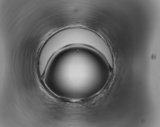 X0000115330193200911161817