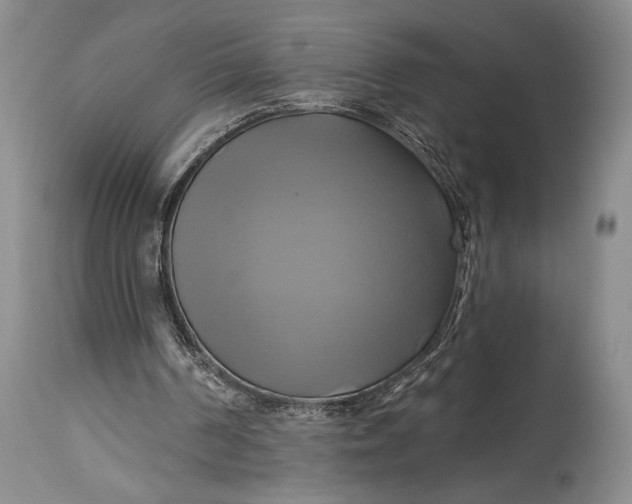 X0000115330194200911161817