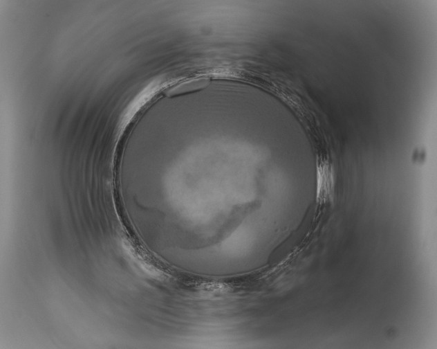 X0000115330195200911161817