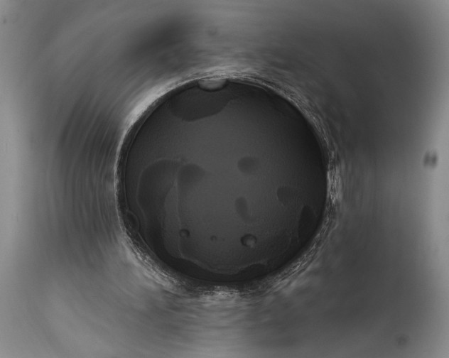 X0000115330196200911161817