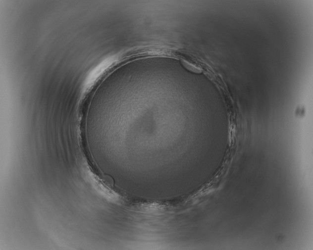 X0000115330197200911161817