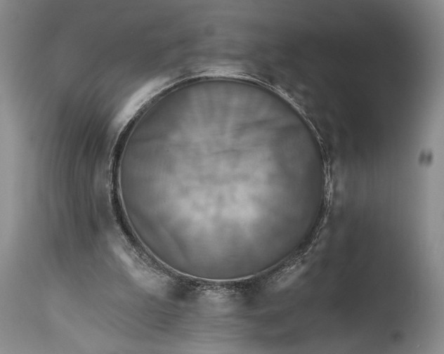 X0000115330199200911161817