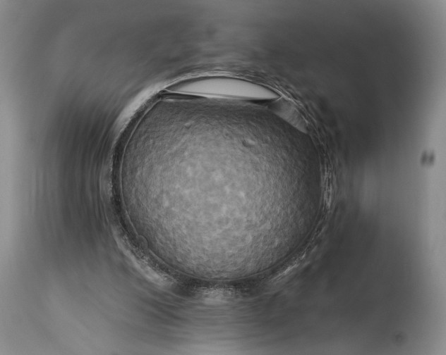 X0000115330200200911161817