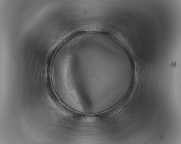 X0000115330202200911161817