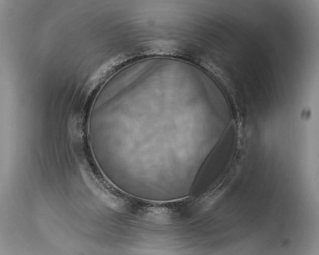 X0000115330203200911161817