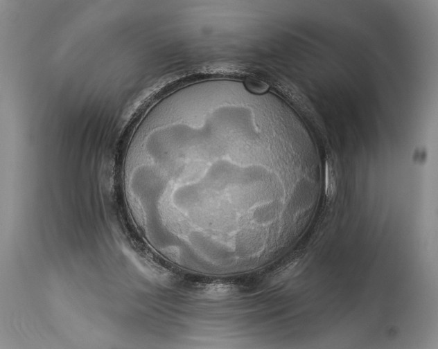 X0000115330204200911161817