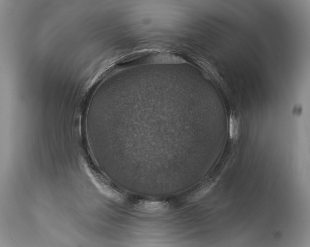 X0000115330205200911161817