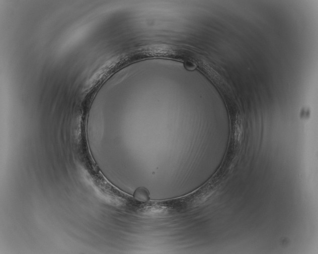 X0000115330206200911161817