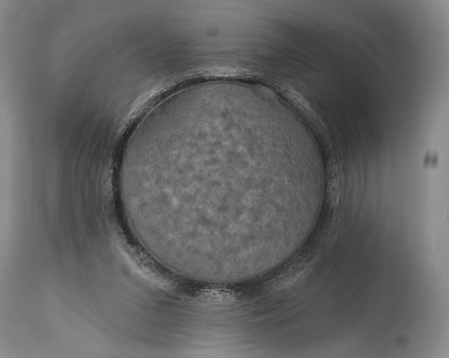 X0000115330207200911161817