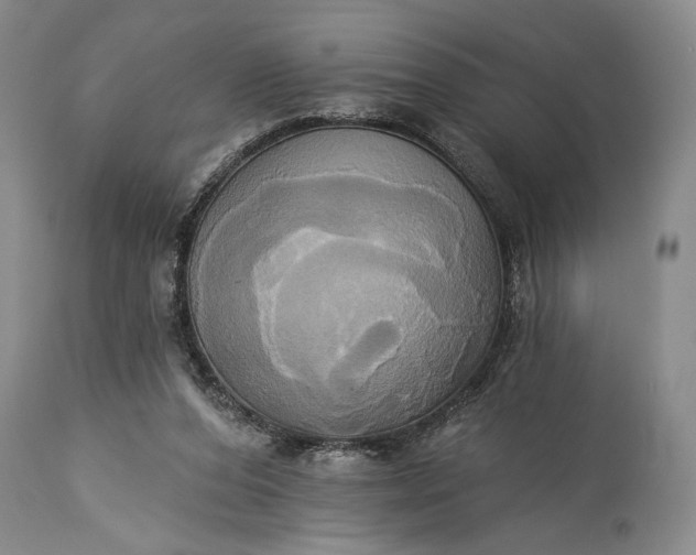 X0000115330208200911161817