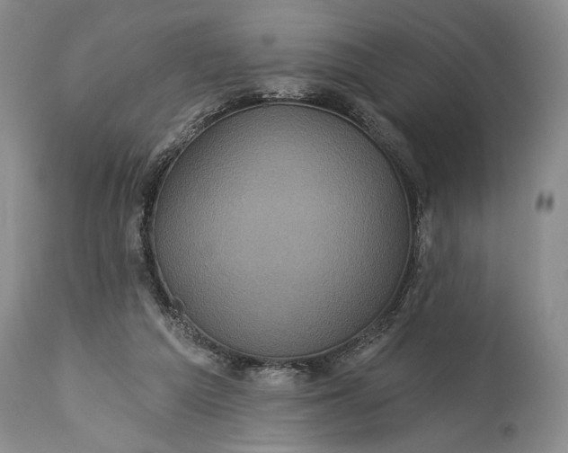 X0000115330209200911161817