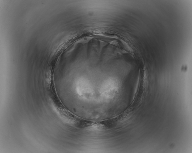 X0000115330210200911161817